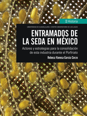 cover image of Entramados de la seda en México